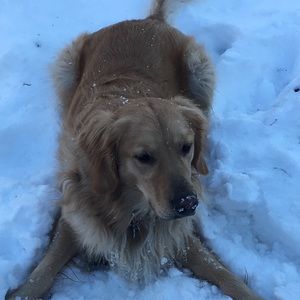 Meet your Posher, Denise